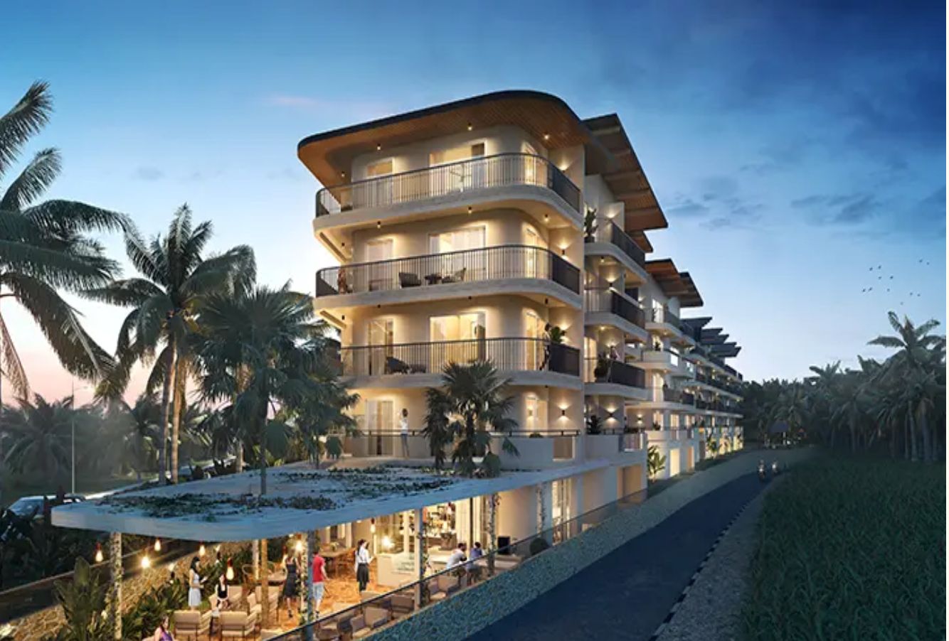 Conscient- Vista Arrozal